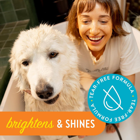 Bright and Shine Shampoo – 16oz Piña Colada Scent | Restoring Shampoo Rich with Soothing Colloidal Oatmeal | Tearless and Alcohol-Free for Everyda...