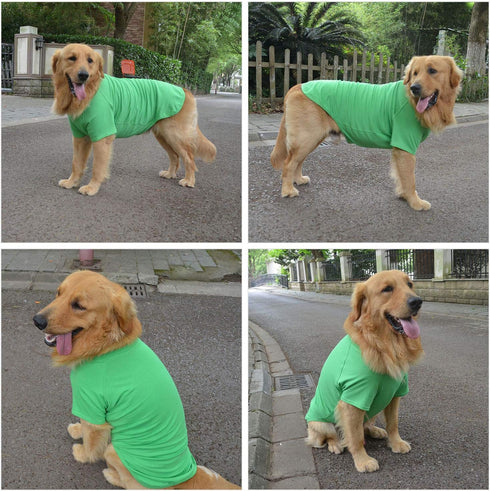 Lovelonglong Pet Clothing Dog Costumes Basic Blank T-Shirt Tee Shirts for Small Dogs Green S...