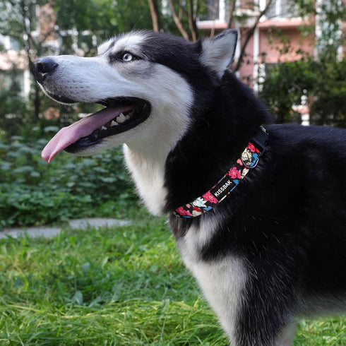 KISSBAK Dog Collar for Large Dogs - Special Design Cute Girl Dog Pet Collar Soft Adjustable Fancy Floral Girl Puppy Dog Collars (L, Floral Spring)...