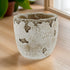 Distressed Weathered Cement Planter, 5 Inches - Unique Stone Plant Pot for Indoor Outdoor Home Garden Decor...
