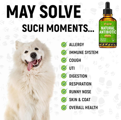 Antibiotic for Cats | Natural Antibiotics for Dogs | Cat Antibiotics | Dog Antibiotic | Antibiotic for Dogs | Natural Antibiotics for Cats | Natur...