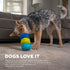 Outward Hound Treat Locking Discs Dog Treat Dispenser Puzzle Toy...