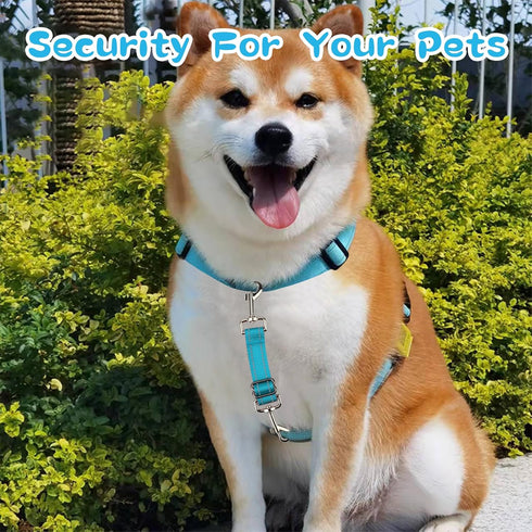 YUEPET Dog Safety Collar Clips 5 Pack Adjustable Prong Collar Backup Clips Reflective Double Ended Backup Clasp Leash Connector for Dog Harness to...