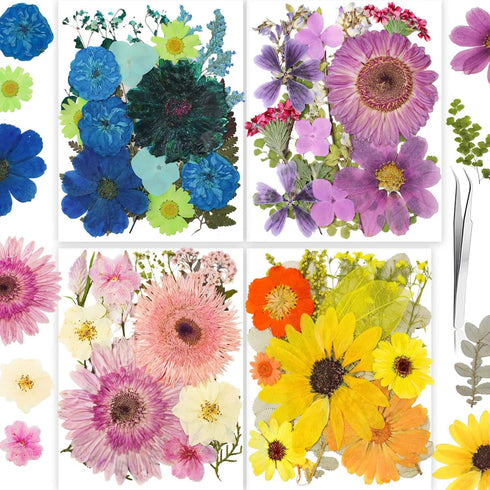 116PCS Large Dried Pressed Butterfly Sticker Flower for Resin, Big Real Nature Pressing Floral Leaves for DIY Craft, Mold, Jewelry Making, Candle ...