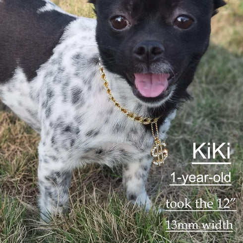 Gold Dog Collar 14mm/20mm Cat Puppy Chain Zircon Cuban Link Chain Handmade Iced out Diamond Exaggerated Dollar Pendant Full Cz Prong Set Pet Jewel...