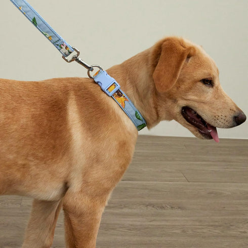 Vera Bradley Women's Recycled Lighten Up Water-repellent Pet Leash, Sunflower Sky, Medium...