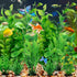 Fish Tank Accessories Green Plants, 10pcs Green Fish Tank Decorations, Aquarium Decor Plastic Plants...