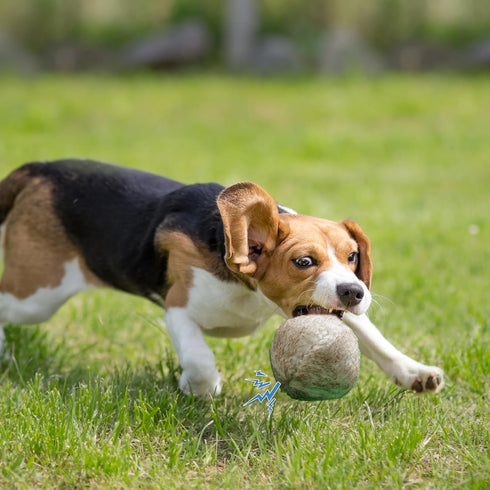 Nocciola Wobble Giggle Ball for Dogs, Interactive Dog Toys for Boredom, Squeaky Ball Dog Toys to Keep Them Busy, Pet Toys for Small Medium Large D...