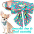Unique Style Paws Dog Collar with Bowtie, Cute Flamingo Dog Collars Adjustable Puppy Collar for Small,Medium,Large Dogs...