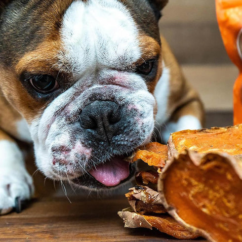 Covington Sweet Potato - Bacon - 11.46 oz, Dehydrated Dog Treats, Vitamin Rich All Natural Chew, This & That Canine Co...
