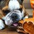 Covington Sweet Potato - Bacon - 11.46 oz, Dehydrated Dog Treats, Vitamin Rich All Natural Chew, This & That Canine Co...