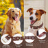 Guiding Star 5ft Leather Dog Leash and Collar Set, Soft Braided Leather Dog Leash 5ft with Adjustable Dog Collar, Heavy Duty Leather Dog Collar an...