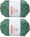 T-Shirt Yarn for Croheting Knitting - Tshirt Yarn for Slippers Storage Baskets Projects Bags Blanket Cushions, T shirt yarn 100g×2 (3.5oz×2), DIY ...