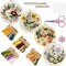 Bonroy 4 Sets Embroidery Kit for Beginners Art Craft Handy Sewing Include Embroidery Clothes with Pattern, Hoops, Instructions,Color Threads Needl...