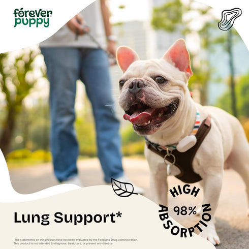 Lung Support Drops for Dogs - Vegan Dog Respiratory Health Supplements - Herbal Respiratory Support for Dogs w/Mullein Leaf and Echinacea Herb - L...
