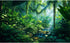 Aquarium Background Fantasy Jungle Plants Waterfall Background Tropical Rainforest Terrarium Background Stream Sunlight Green Leaves Reptile Habit...