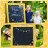 68.9 Feet Happy Sun Border Bulletin Board Border Flower Beach Sun Eucalyptus Paw Flag Hat Balloon Sailboat for Classroom Boards Wall Decor...