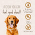 Better Belly Pork Hide Chips with Smoke Flavor, 10 Ounce, Digestible Pork Hide for Dogs (P-94450)...