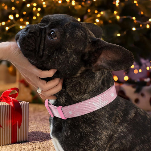 Pawtitas Soft Adjustable Puppy Collar Leash Harness Sold Separately Personalized Customizable Dog Collar Embroidered Customize Pet Name Phone Numb...