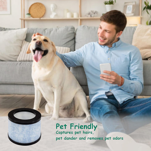 DH-JH01 True HEPA Replacement Filter, Compatible with AROEVE and Kloudi Air Purifier DH-JH01, Intelabe EPI080/EP1080, and Elechomes EPI081/EP1081 ...