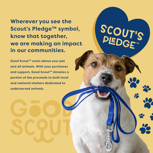 Good Scout Heavy Duty Bungee Leash, Walking & Training Leash for Puppies & Adult Dogs, Blue, Medium...