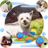 6Pcs Squeaky Dog Balls, Dog Toys Balls for Training, Tough Ball Toys for Dogs, Fit with Dog Ball Launcher, High Bouncy Dog Ball for Interactive Pl...