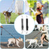 2 Pcs Dog Collar Clips, Reflective Nylon Prong Collar, Safety Backup Collar, Adjustable Pet Dog Collar Harness Connector, Double Ended Backup Clas...