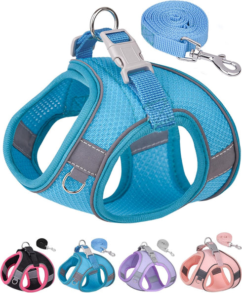 Dog Harness for Small Medium Sized Dog, Puppy Harness and Leash Set Training, Dog Harness and Leash Set, Dog Vest Harness, Dog Harness Small Sized...
