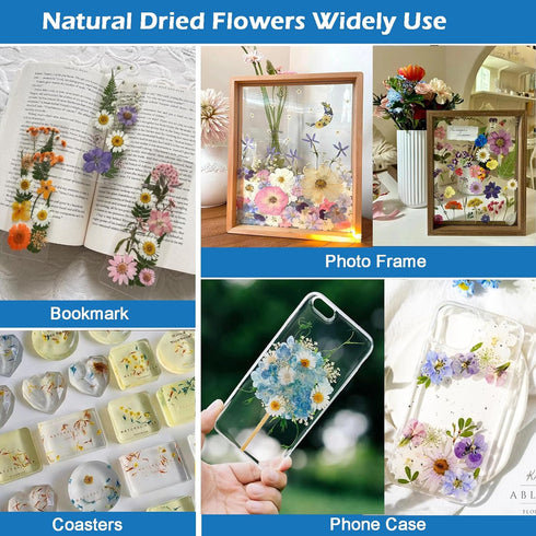 Flowers for Resin Model, Real Pressed Flowers Dry Leaves Bulk Natural Herbs Kit for Scrapbooking DIY Art Crafts, Epoxy Jewelry, Candle, Soap Makin...