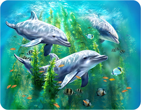 Magnet - Dolphin Kelp Bed from Deluxebase. Lenticular 3D Ocean Fridge Magnet. Magnetic Decor for Kids and Adults with Artwork Licensed from Renown...