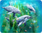 Magnet - Dolphin Kelp Bed from Deluxebase. Lenticular 3D Ocean Fridge Magnet. Magnetic Decor for Kids and Adults with Artwork Licensed from Renown...