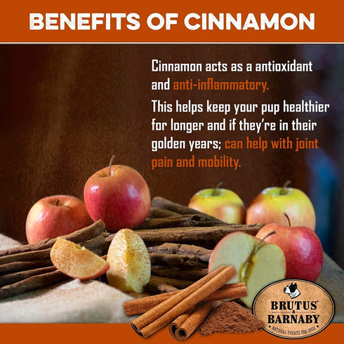 BRUTUS & BARNABY USA Sweet Potato Dog Treats - Crunchy Grain Free Cinnamon Apple Sticks, Promotes Positive Gut Health with Natural Anti-Diarrhea P...