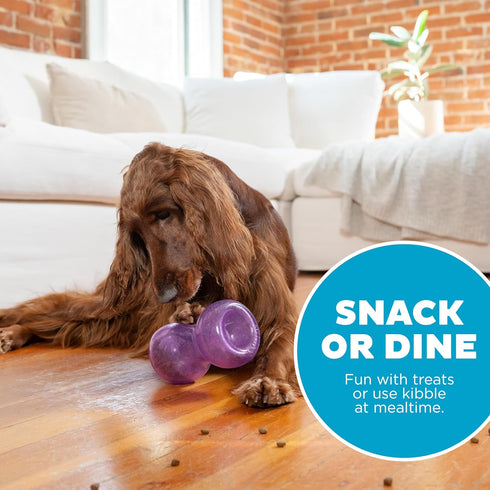 Outward Hound Double Snoop Interactive Treat Stuffer Durable Dog Toy, Dog Treat Toy, Purple...