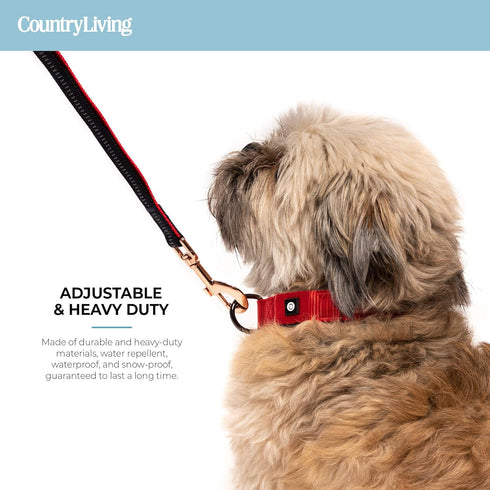 Silver Paw Light Up Dog Collars, LED USB Rechargeable Dog Collar, Waterproof & Durable (Red,S)...