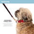 Silver Paw Light Up Dog Collars, LED USB Rechargeable Dog Collar, Waterproof & Durable (Red,S)...