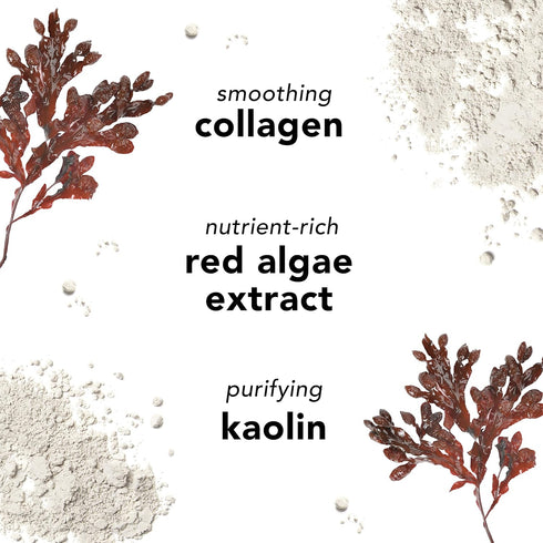 Mario Badescu Clay Face Mask Skin Care for Men and Women, Pore Minimizer Facial Mask Formulated with Nutrient-Rich Key Ingredients, Purifying and ...