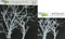 The Crafter's Workshop Set of 2 Stencils - Branches 12" x 12" Large and 6" x 6" Mini - Includes 1 Each TCW208 and TCW208s - Bundle 2 Items...