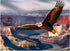 Jigsaw Puzzles for Adults 500 Pieces, Eagle Puzzles for Kids Teens Elderly Interlock Perfectly Letter on Back No Dust, Home Decor Family Fun Puzzl...