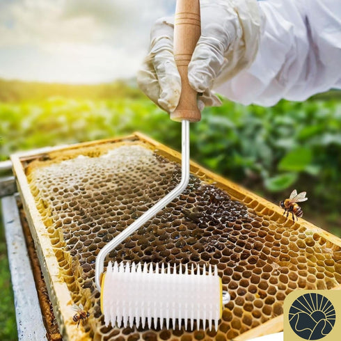 Honey Uncapping Needle Roller Honey Extractor Equipment, Honey Spinner Extractor Honey Uncapping Roller for Beekeepers Needle Recapping Honey Unca...