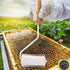 Honey Uncapping Needle Roller Honey Extractor Equipment, Honey Spinner Extractor Honey Uncapping Roller for Beekeepers Needle Recapping Honey Unca...