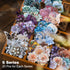 MiyouLuna120Pcs Flower Scrapbook Stickers, HardCard Stickers for Scrapbooking, DIY Crafts, Journaling Supplies & Junk Journal Ephemera, with Stick...