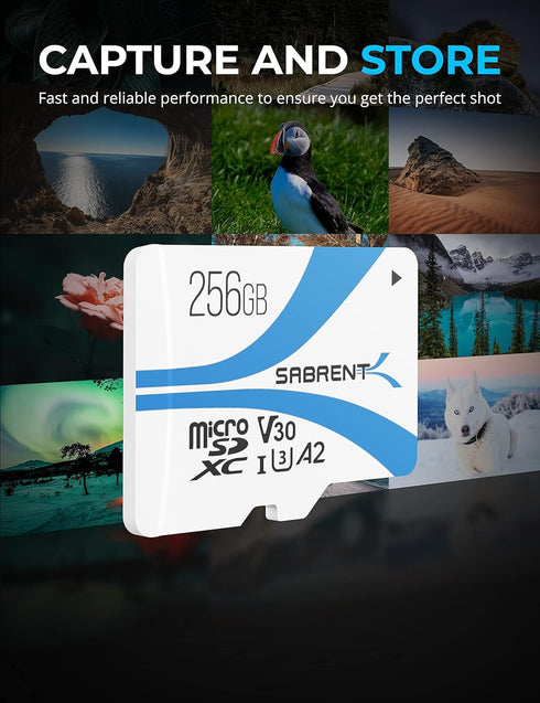 SABRENT Rocket V30 A2 256GB MicroSDXC Memory Card R100MB/s W30MB/s compatible with Steam Deck, Nintendo-Switch, Go Pro, Cameras, Smartphones. (SD-...