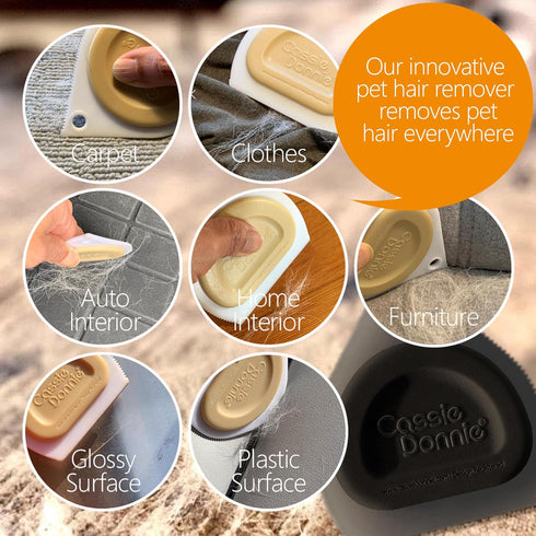 Mini Pet Hair Detailer, Pet Hair Remover for Carpet Couch Bedding Sofa, Car Interior Auto Detailing Supplies, Dog Cat Fur Reusable Brush for Furni...