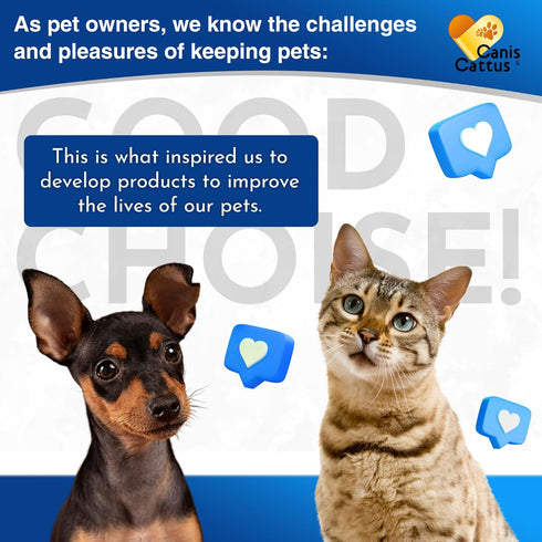 Dog Cough Treatment | Kennel Cough | Cat Cough Medicine | Dog Allergy | Kennel Cough Treatment | Dog Medicine | Cat Cough | 2 Oz...