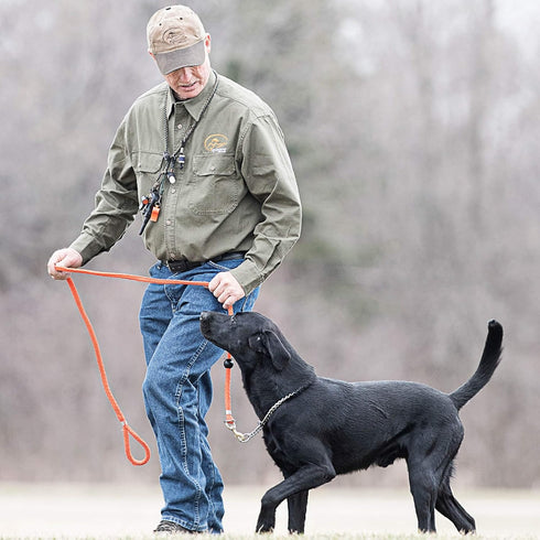 SportDOG Brand Roy Gonia Special Whistle - Hunting Dog Whistle with Easy-to-Blow Design - For Training or Field Use - Lower-Pitched Sound...