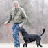 SportDOG Brand Roy Gonia Special Whistle - Hunting Dog Whistle with Easy-to-Blow Design - For Training or Field Use - Lower-Pitched Sound...