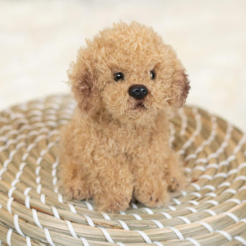 DEMDACO Black Long-Haired Chihuahua Children's Plush Beanbag Stuffed Animal Toy...