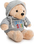 Ganz 9" Get Well Soon Teddy Bear with Gray Hoodie - Feel Better Gift for Kids & Women (Tan Nose Stuffed Animal)...