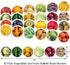 Vegetables and Fruits Themed Bulletin Board Borders Straight Border Trim for Classroom Decoration Bulletin Board Whiteboard...