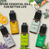 Essential Oils Set Top 5 Aromatherapy-Essential Oils for Diffuser for Home,Air Freshening Diffuser Oils Scents for Aromatherapy,Laundry,Candle&Soa...